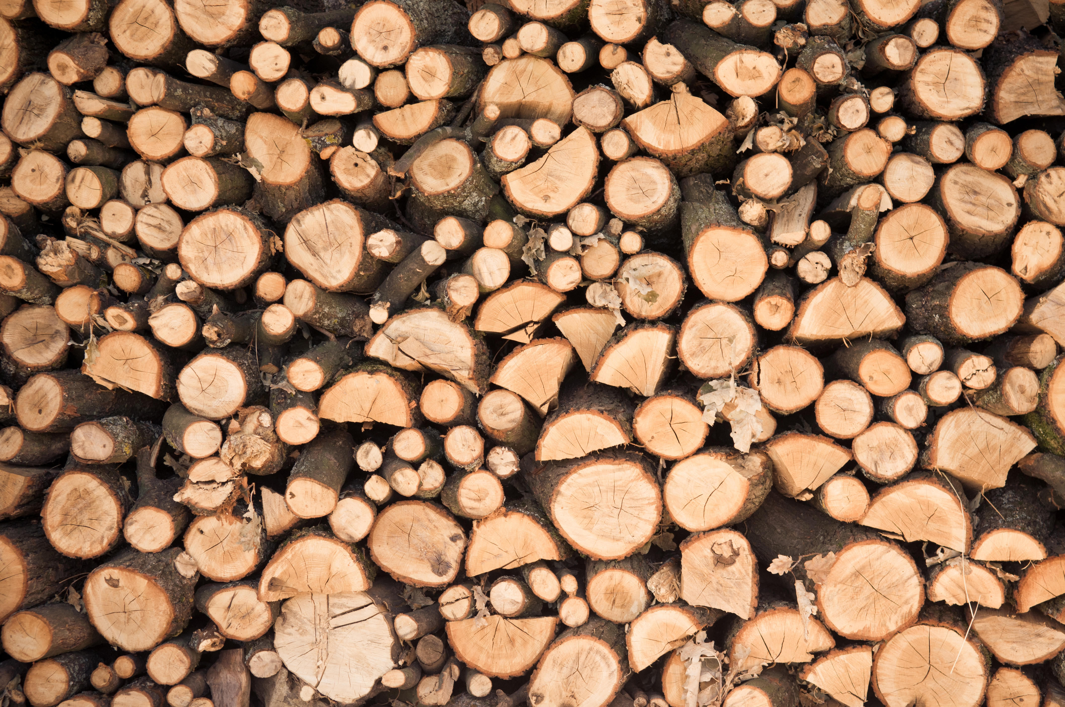 Consumo e exportações de painéis de madeira no 1º semestre de 2022