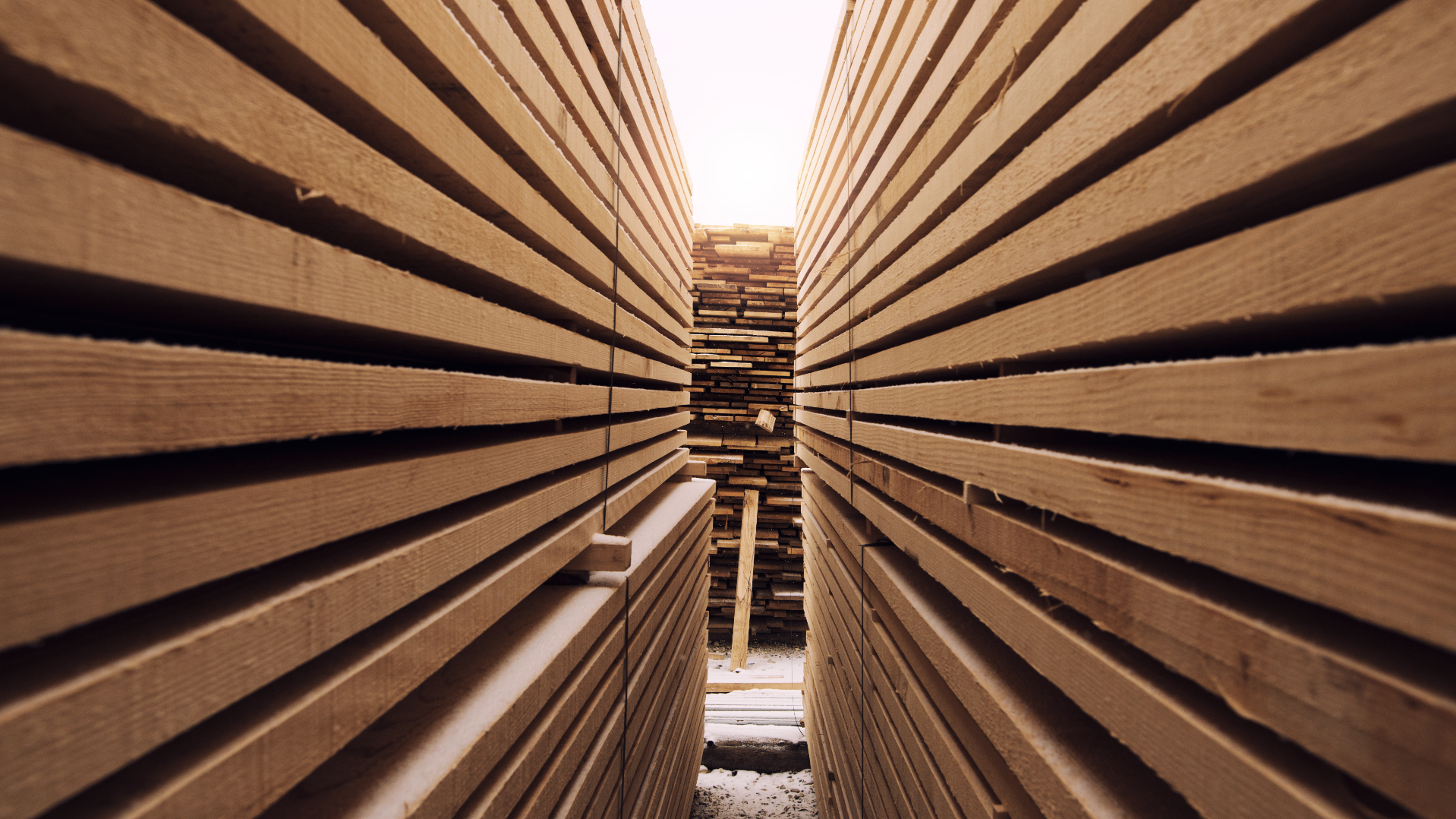 Consumo de painéis de madeira caiu em 2022